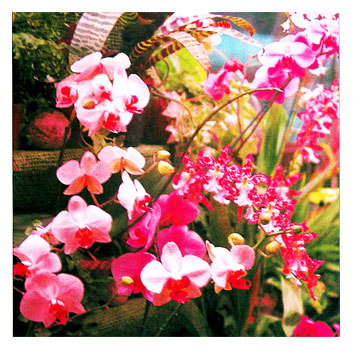 Zahnarzt, Hypnose, Angst